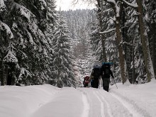 Program Severská chůze - sněžnice